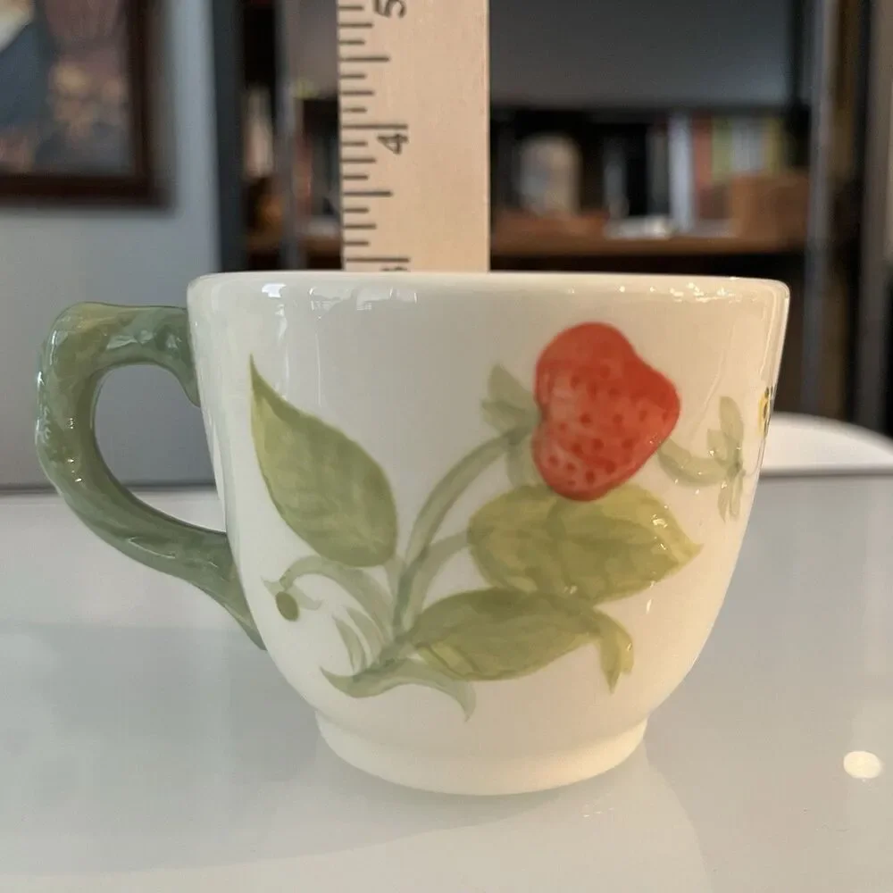 Franciscan Strawberry Fair Cup Saucer Plate Set Vintage Cottagecore Tea Party